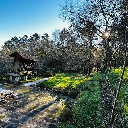 Eira Das Carvalhas Penafiel Exterior foto