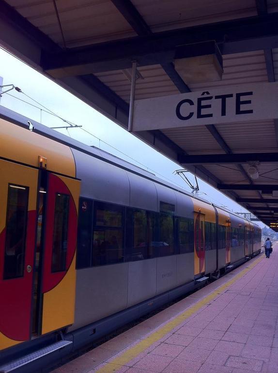 Eira Das Carvalhas Penafiel Cameră foto